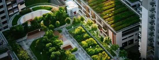 Aerial photo of green rooftops