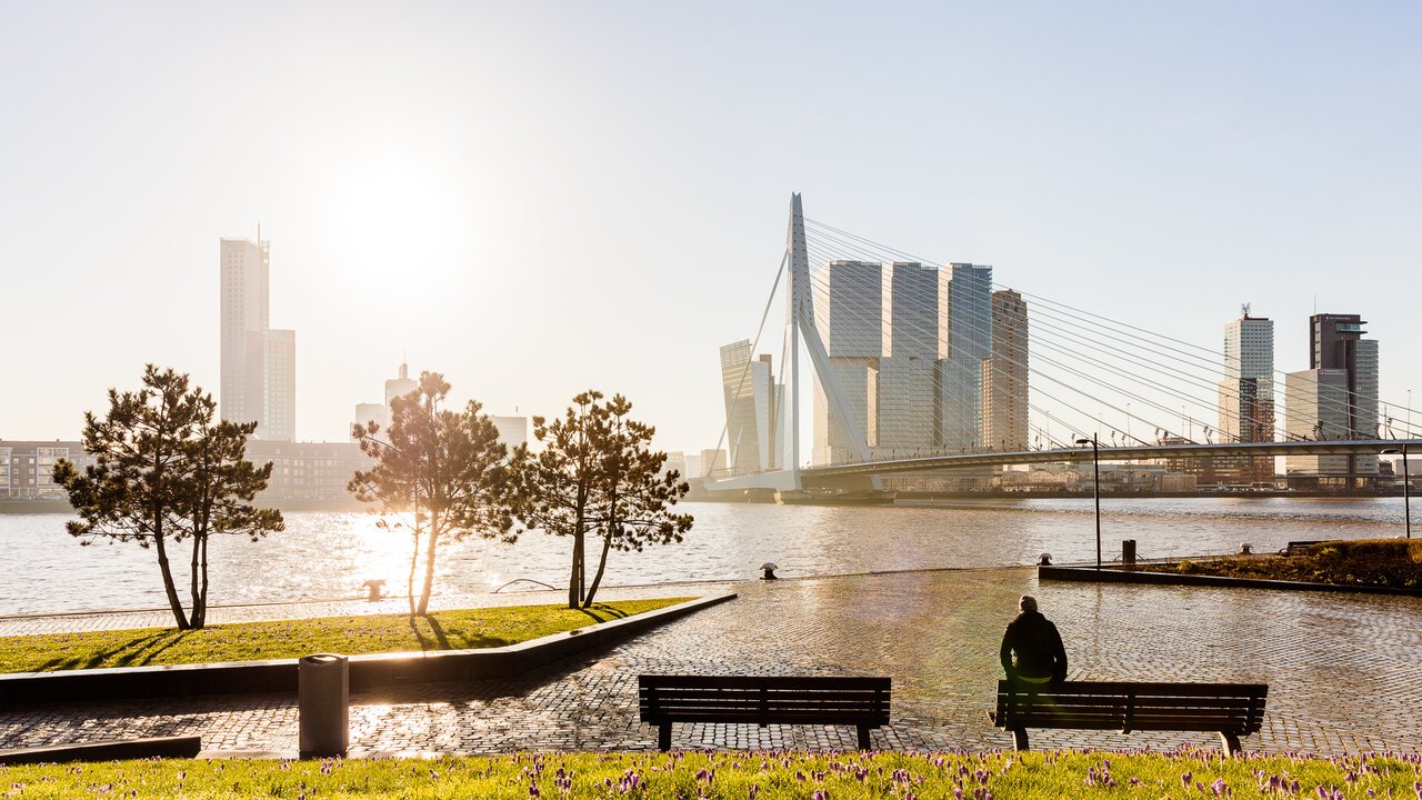 Impact Study of Covid19 on the city of Rotterdam Institute for