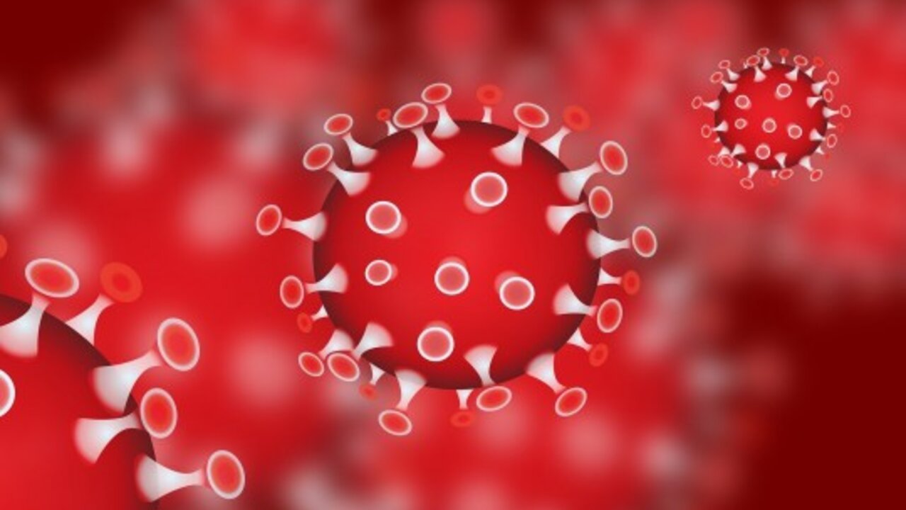 Safety Measures Regarding Coronavirus Institute For Housing And Urban Development Studies safety-measures-regarding-coronavirus-institute-for-housing-and-urban-development-studies