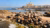 Photo of the port in Alexandria