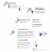 Infographic of 5-step award process: application, promotion, community vote, jury review, ceremony