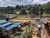 Metal shacks beside vegetable plots and dirt path in a rural hillside setting