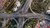 Roads and nature in a city