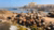Photo of the port in Alexandria