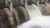 Photo of a hydropower dam