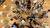 Birdsview of IHS alumni Dina in a meeting