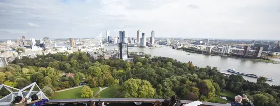 Rotterdam panoramic view 