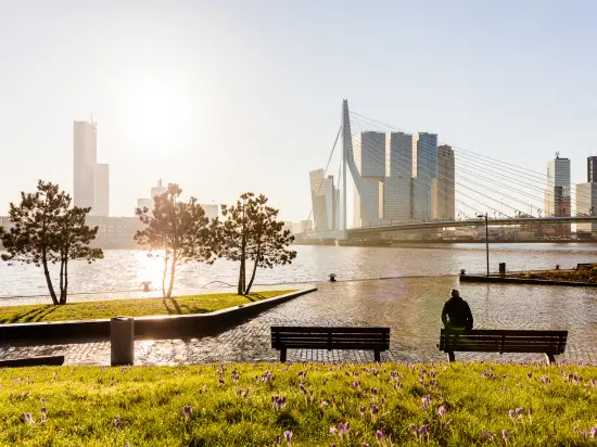 Uitzicht op Rotterdam - Rotterdam Marketing